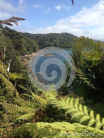 Beach on Stewart Island Stock Photo