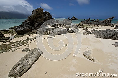 Beach with stratified calcarenite on Lord Howe Island Stock Photo