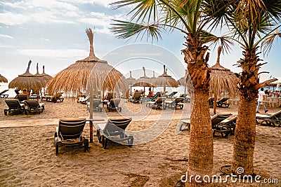 Beach straw umbrellas and palm trees Editorial Stock Photo