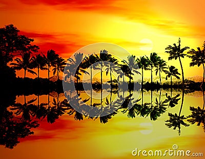 Beach sunset or sunrise with tropical palm trees Stock Photo