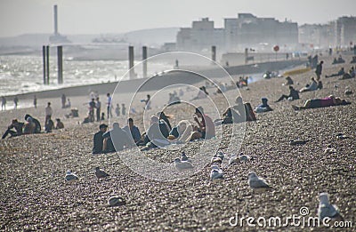 On the beach in the sunshine, Brighton, England. Editorial Stock Photo