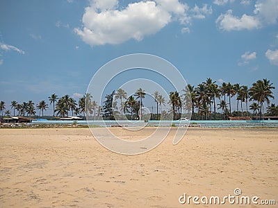 beach with trees, Pozhikkara beach Kollam Kerala Stock Photo