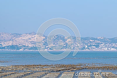 The beach under the blue sky, the laver and oyster farms are on the beach Stock Photo