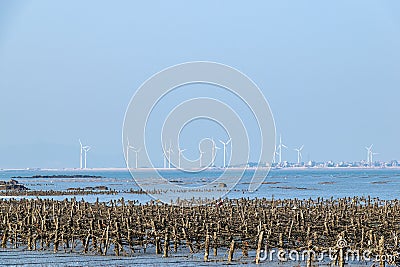 The beach under the blue sky, the laver and oyster farms are on the beach Stock Photo