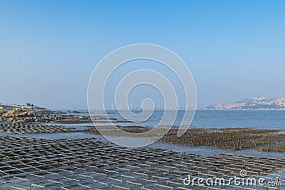 The beach under the blue sky, the laver and oyster farms are on the beach Stock Photo