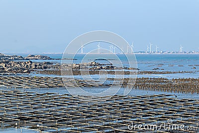 The beach under the blue sky, the laver and oyster farms are on the beach Stock Photo