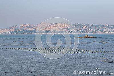 The beach under the blue sky, the laver and oyster farms are on the beach Stock Photo