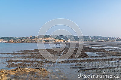 The beach under the blue sky, the laver and oyster farms are on the beach Stock Photo