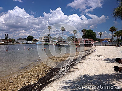 Beach view on shoreline with houses palm trees and swimmers Editorial Stock Photo