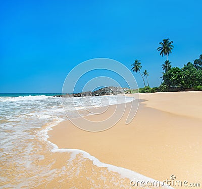 Beach with waves against rock and palm trees in sunny day Stock Photo