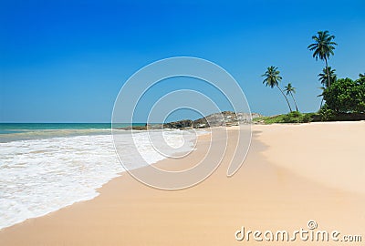 Beach with waves against rock and palm trees in sunny day Stock Photo