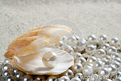 Beach white sand pearl shell macro Stock Photo