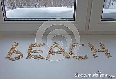 Beach word from seashells dream of summer in winter Stock Photo