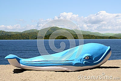 Beached Whale Stock Photo
