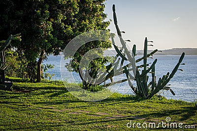 Beaches of Brazil - Pipa, Rio Grande do Norte Stock Photo