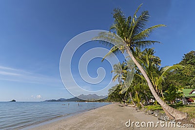 Beachside with coconut tree, Koh Chang, Thailand. Stock Photo