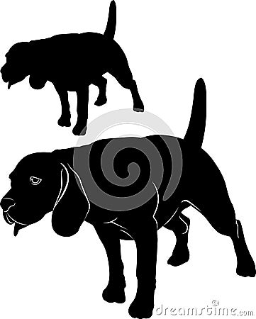 Beagle. Dog beagle. Vector image of an dog beagle on white background Vector Illustration