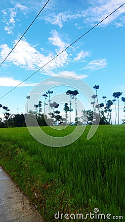 Beaitiful scenery mountains in indonesia Stock Photo