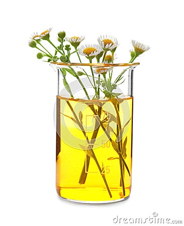 Beaker with flowers on white background Stock Photo