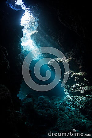 Sunlight and Dark Underwater Cave in the Solomon Islands Stock Photo