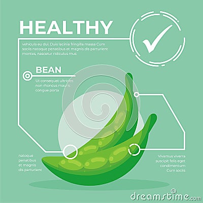 Bean infographic vector Design, fresh vegetable Cartoon Illustration