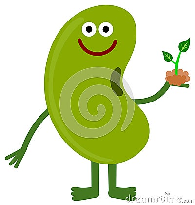 Bean and plant Stock Photo