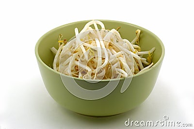 Bean sprouts Stock Photo