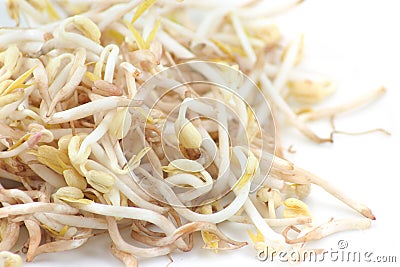 Bean sprouts Stock Photo