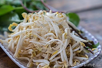 Bean Sprouts Stock Photo