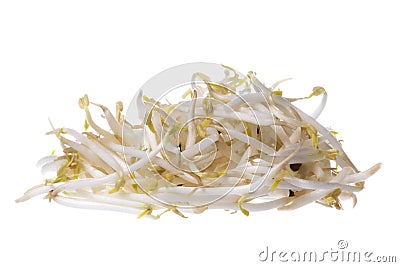 Bean Sprouts Isolated Stock Photo