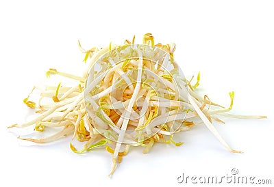 Bean Sprouts Stock Photo