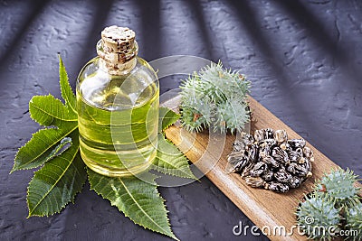 Beans and castor oil Stock Photo