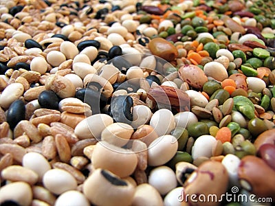 Beans and cereal Stock Photo