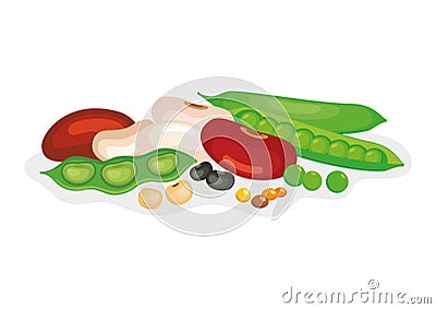 Pile of different dried beans and legumes vector illustration Vector Illustration