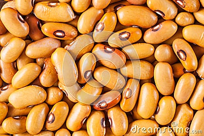 Beans varieties chocolate bowl close-up. Macro shot Stock Photo