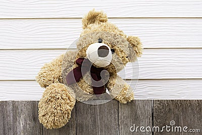 One brown cute teddybear climbing Stock Photo