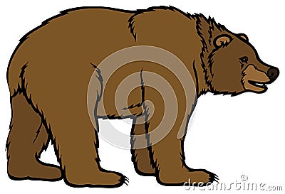 Bear Vector Illustration