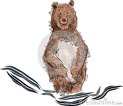Bear Bathing Stock Photo