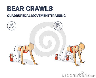 Bear Crawls Exercise, Women Home Workout Guidance of Quadrupedal Movement Vector Illustration