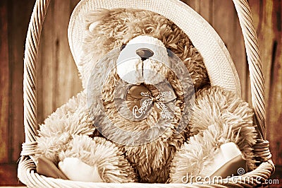 Bear doll Stock Photo