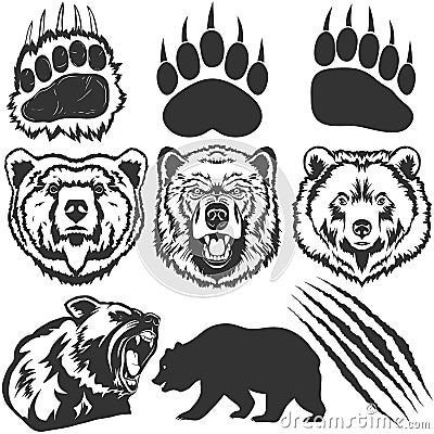 Bear, footprint with claw scratches vector Vector Illustration