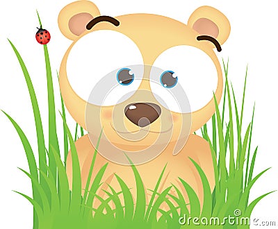 Bear On the Grass Vector Illustration