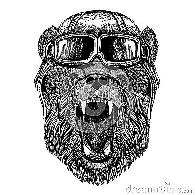 Animal wearing aviator helmet with glasses. Vector picture. Bear Hand drawn picture for tattoo, t-shirt, emblem, badge Vector Illustration