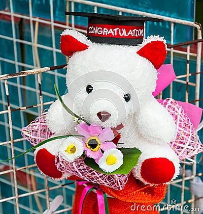 Bear With Hat For Congratulations Stock Images - Image: 32640394