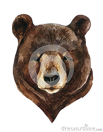 Bear head watercolor Cartoon Illustration