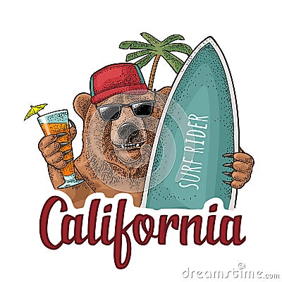 Bear holding surfboard and cocktail. Vintage black engraving Vector Illustration