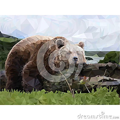 Bear on a tree landscape Stock Photo