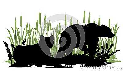 Bear male and female. Wild animals. Silhouette figures. Glade in swamp. Grass and reeds. Isolated on white background Vector Illustration