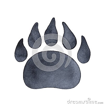 Bear paw print watercolour illustration. Stock Photo