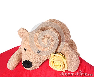Bear on pillow Stock Photo